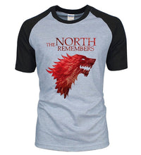 Load image into Gallery viewer, THE NORTH REMEMBERS