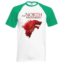 Load image into Gallery viewer, THE NORTH REMEMBERS