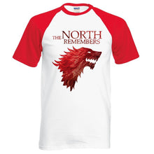 Load image into Gallery viewer, THE NORTH REMEMBERS